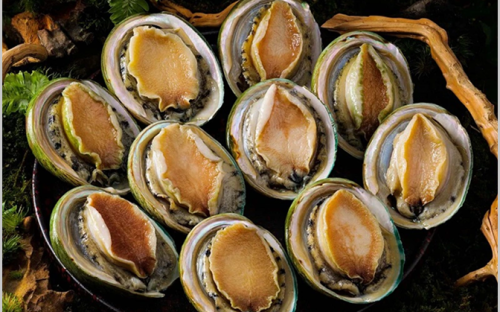 Gần 900 đường ở TP HCM đủ điều kiện 'cho thuê' vỉa hè 2